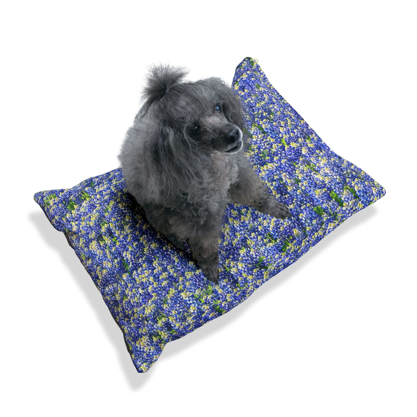 Texas Bluebonnets Dog Bed