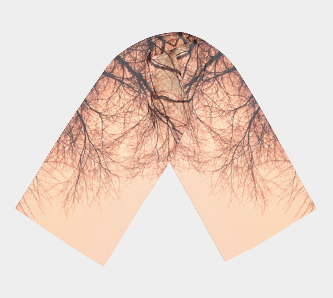 Winter's Dawning Long Scarf #2