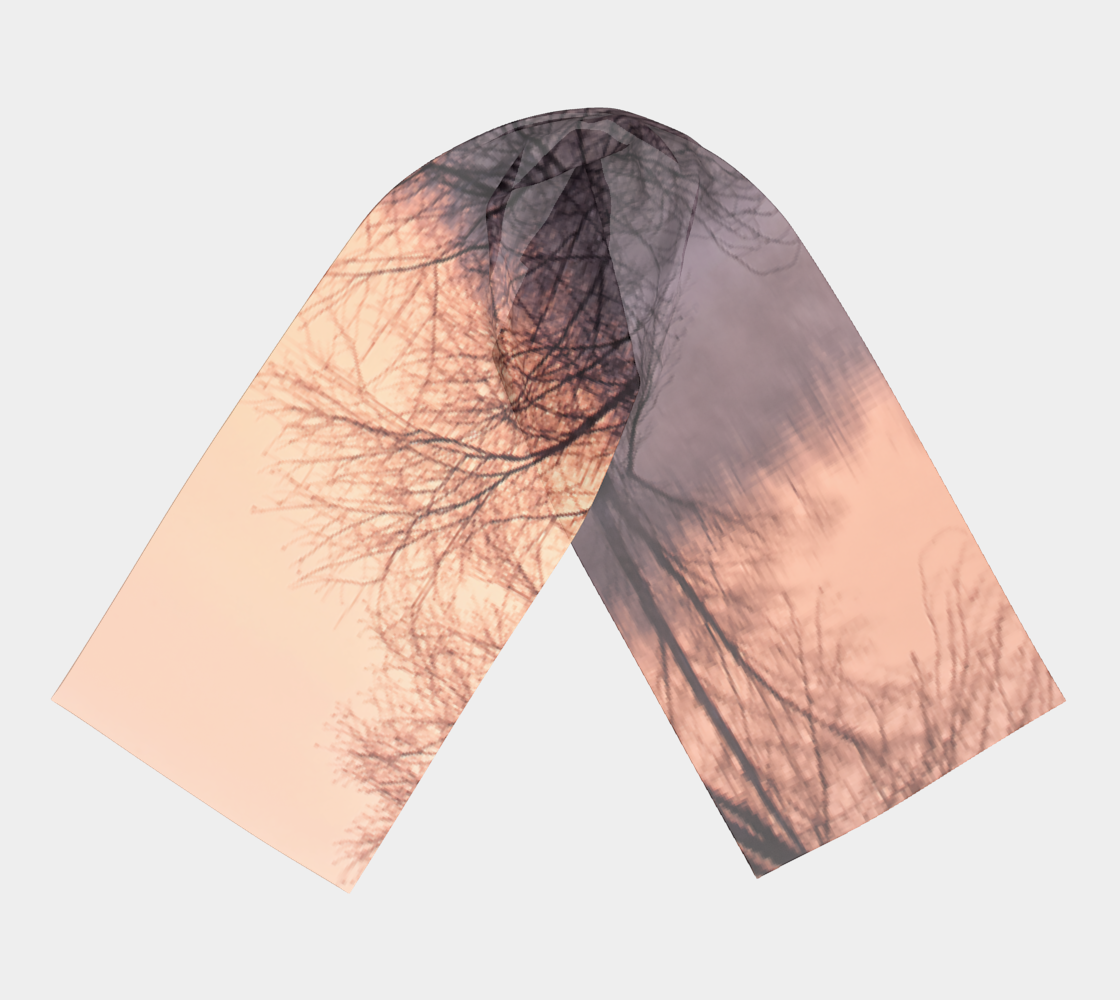 Winter's Dawning Long Scarf #3