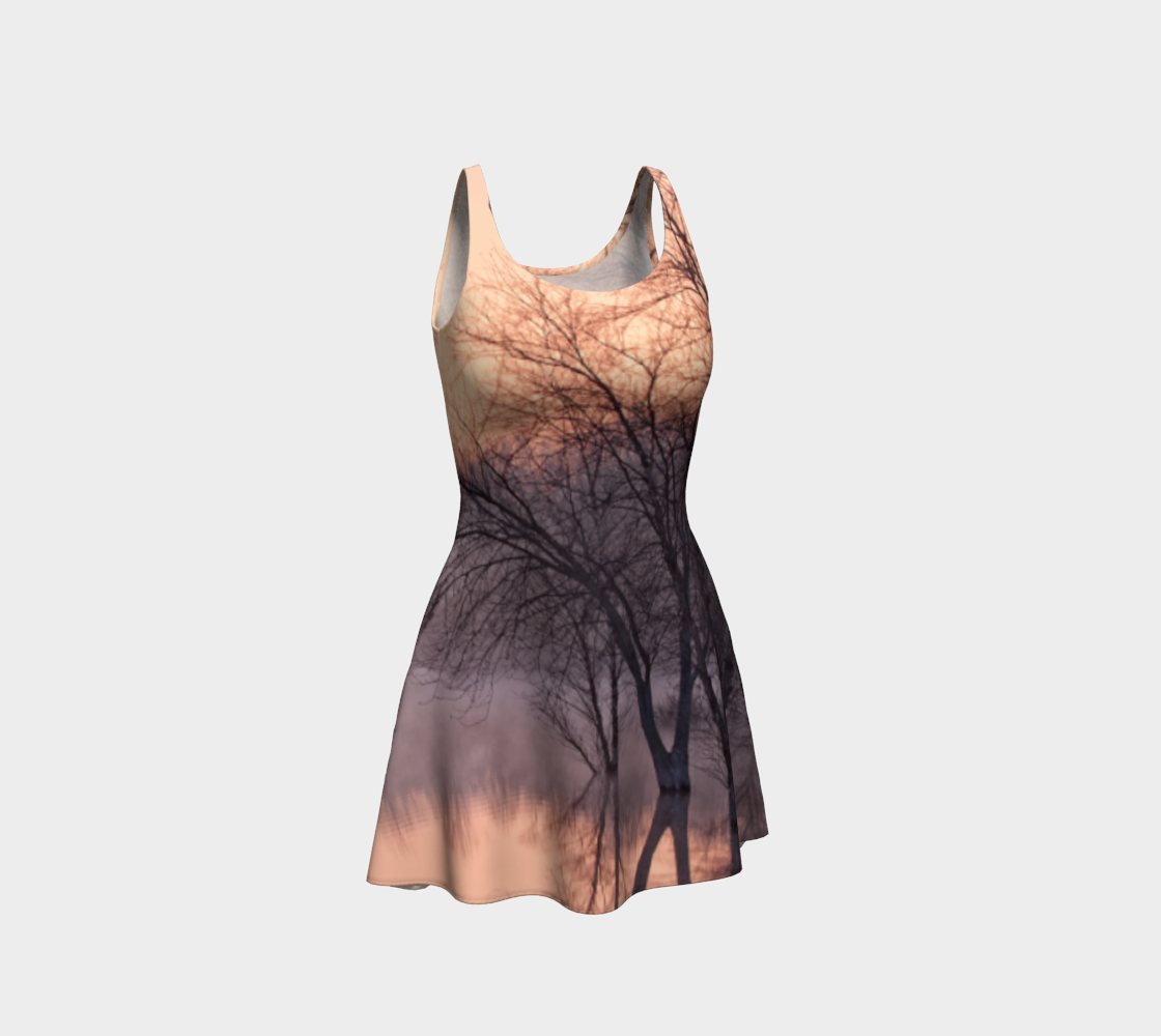 Winter's Dawning Flare Dress #1