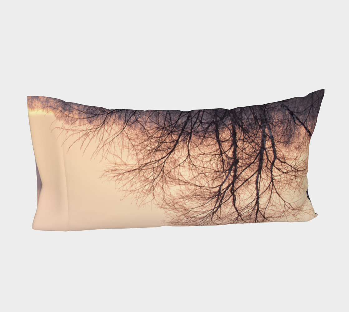 Winter's Dawning Pillow Cases