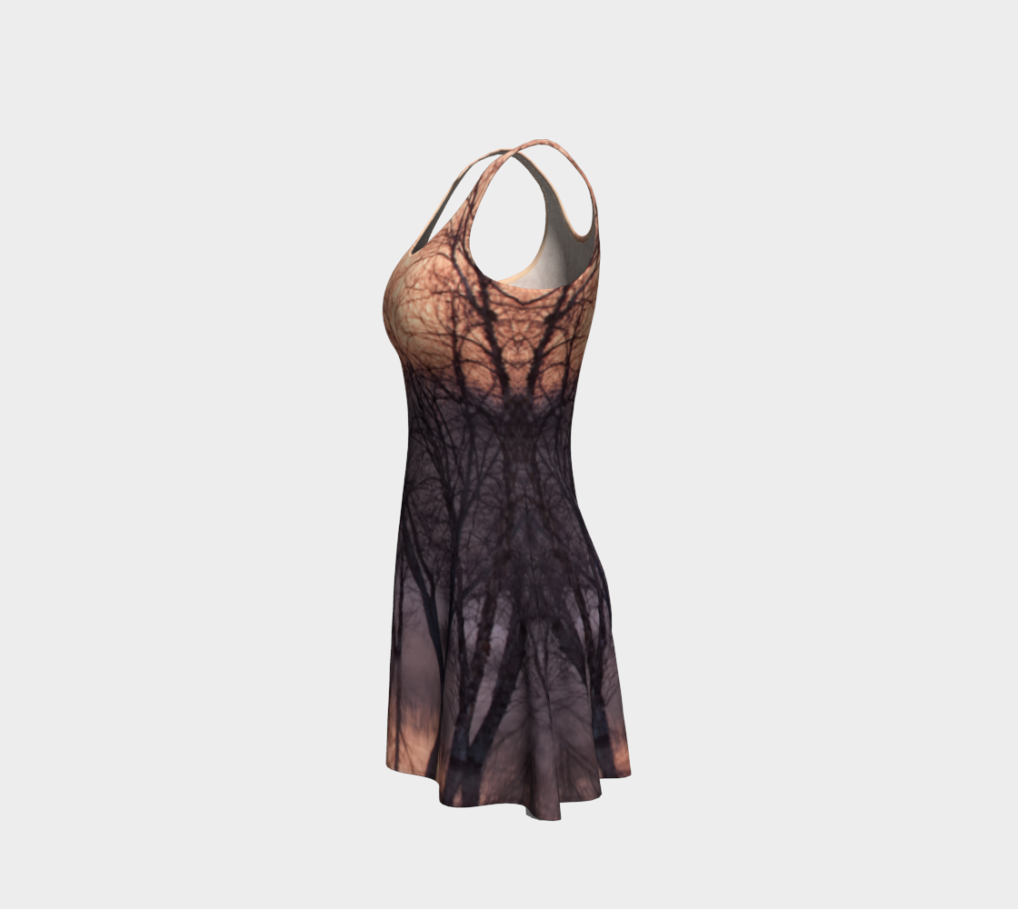 Winter's Dawning Flare Dress #1