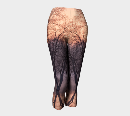 Winter's Dawn Capris