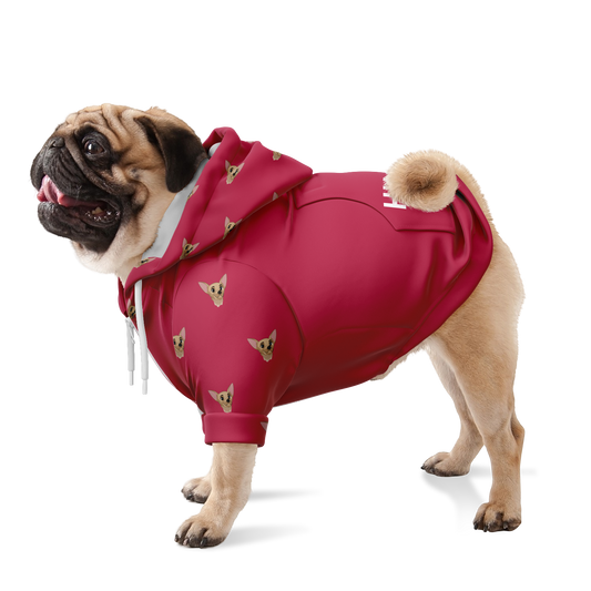 Viva Magenta Fleece Dog Hoodie on a Pug