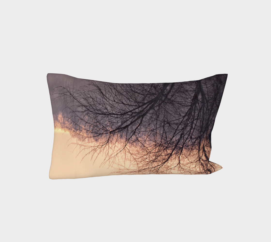Winter's Dawning Pillow Cases