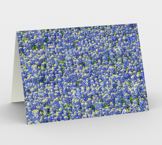 Texas Bluebonnet Stationery Card - Horizontal